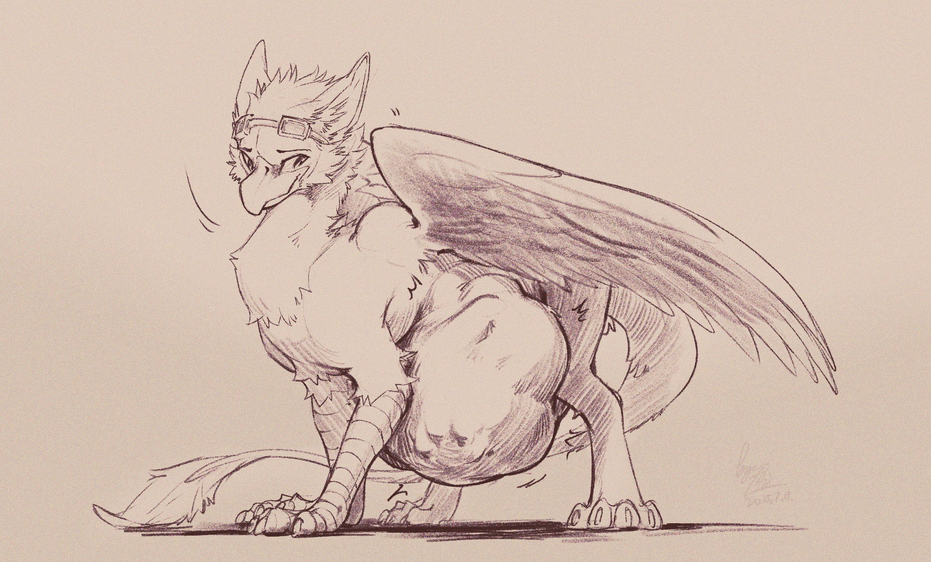 coulias drawn by lunlunfox