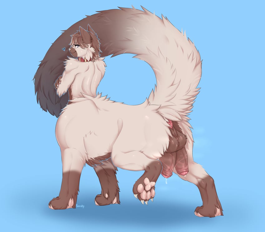 drawn by roroky